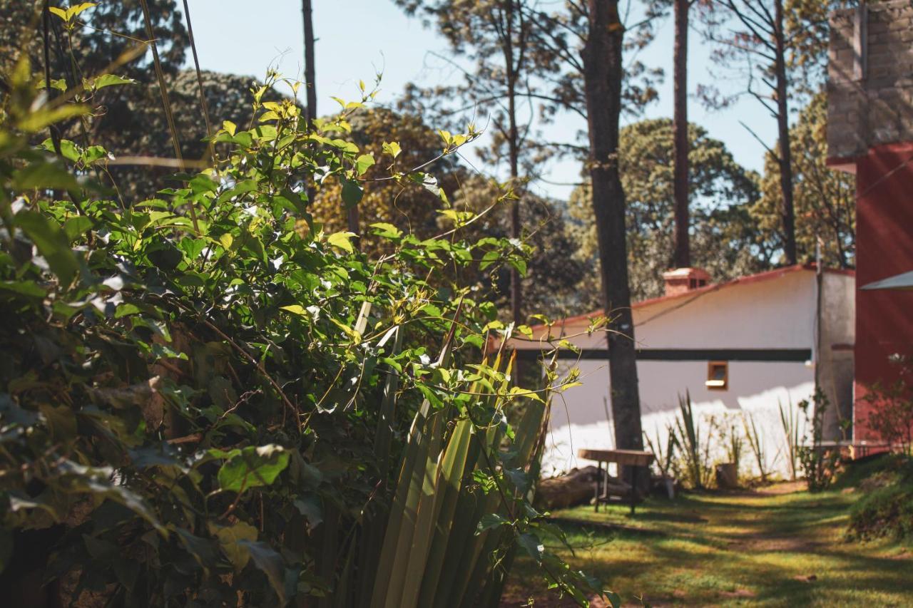 바예데브라보 Encino House 빌라 외부 사진